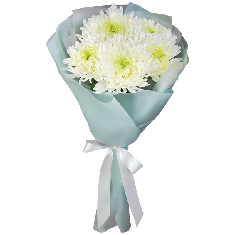 Букет из 5 белых игольчатых хризантем