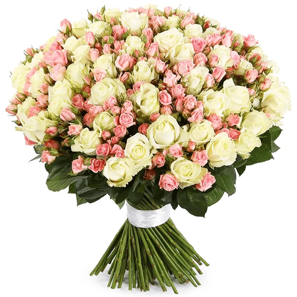 Розы Кустовые микс №1